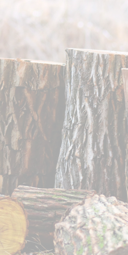 madera